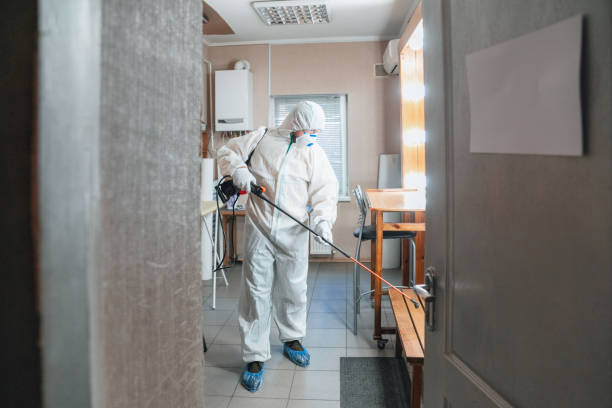 Best Mold Odor Removal Services  in Delta Junction, AK
