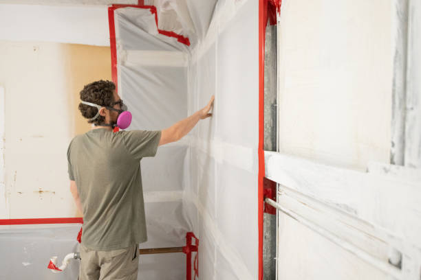 Best Commercial Mold Inspection  in Delta Junction, AK