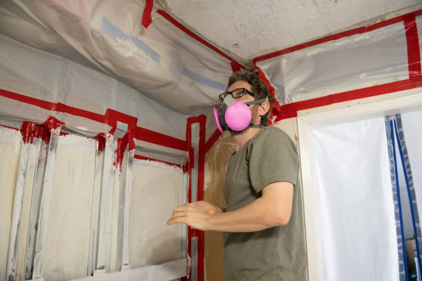 Best Black Mold Removal  in Delta Junction, AK