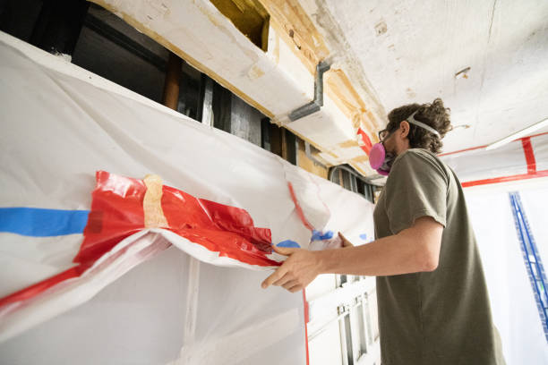 Best Attic Mold Removal  in Delta Junction, AK