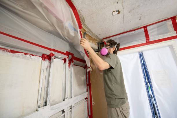 Best Indoor Air Quality Assessment  in Delta Junction, AK