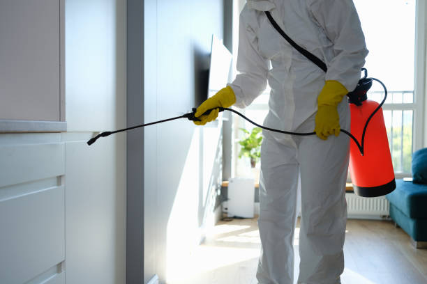 Best Mold Damage Restoration  in Delta Junction, AK