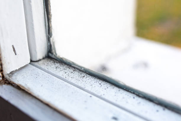 Best Residential Mold Inspection & Testing  in Delta Junction, AK