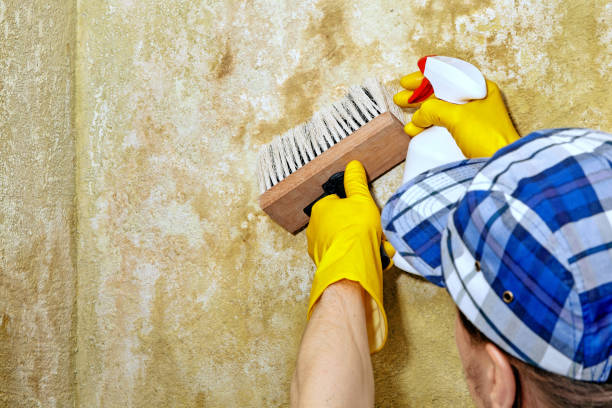 Best Mold Removal for HVAC Installations  in Delta Junction, AK