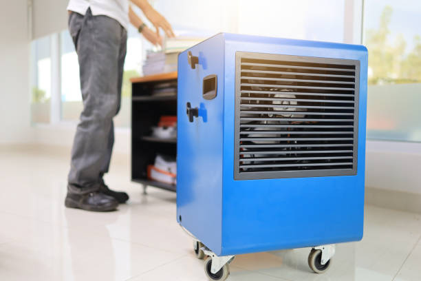 Best Mold Prevention Services  in Delta Junction, AK