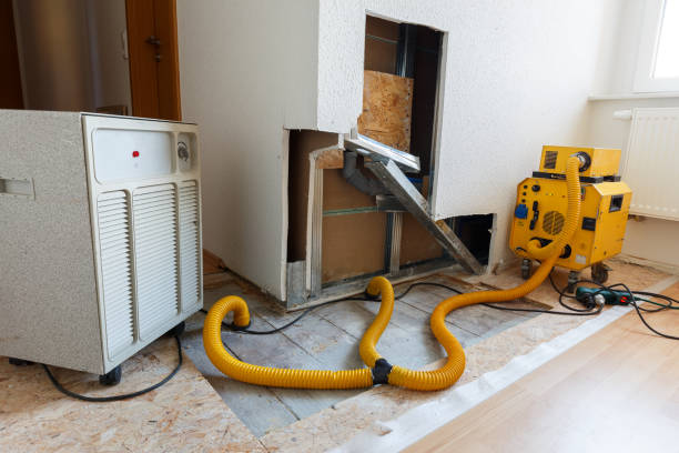 Best Dehumidification Services  in Delta Junction, AK