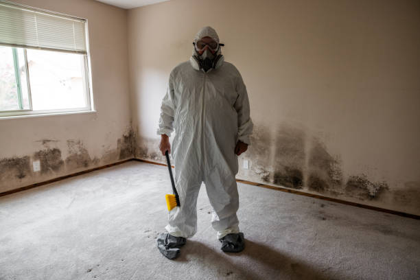 Best Asbestos and Lead Testing During Mold Inspection  in Delta Junction, AK