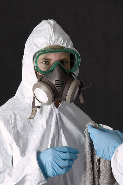 Best Industrial Mold Remediation  in Delta Junction, AK